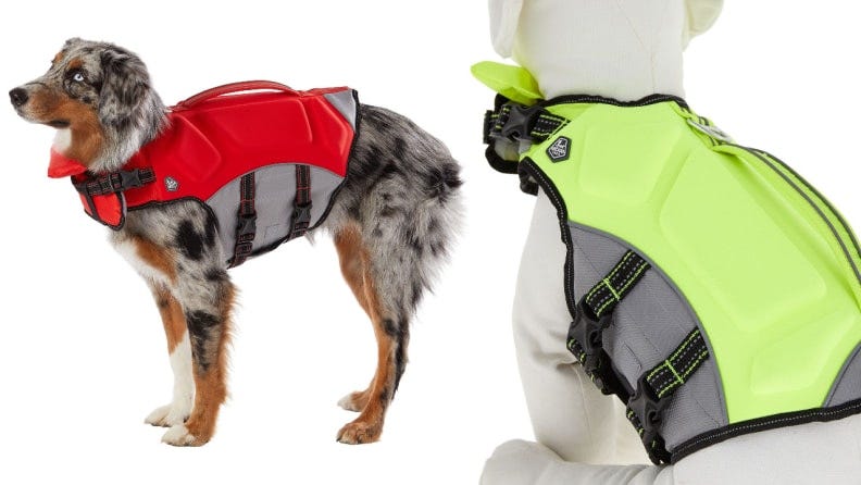 petsmart dog backpack